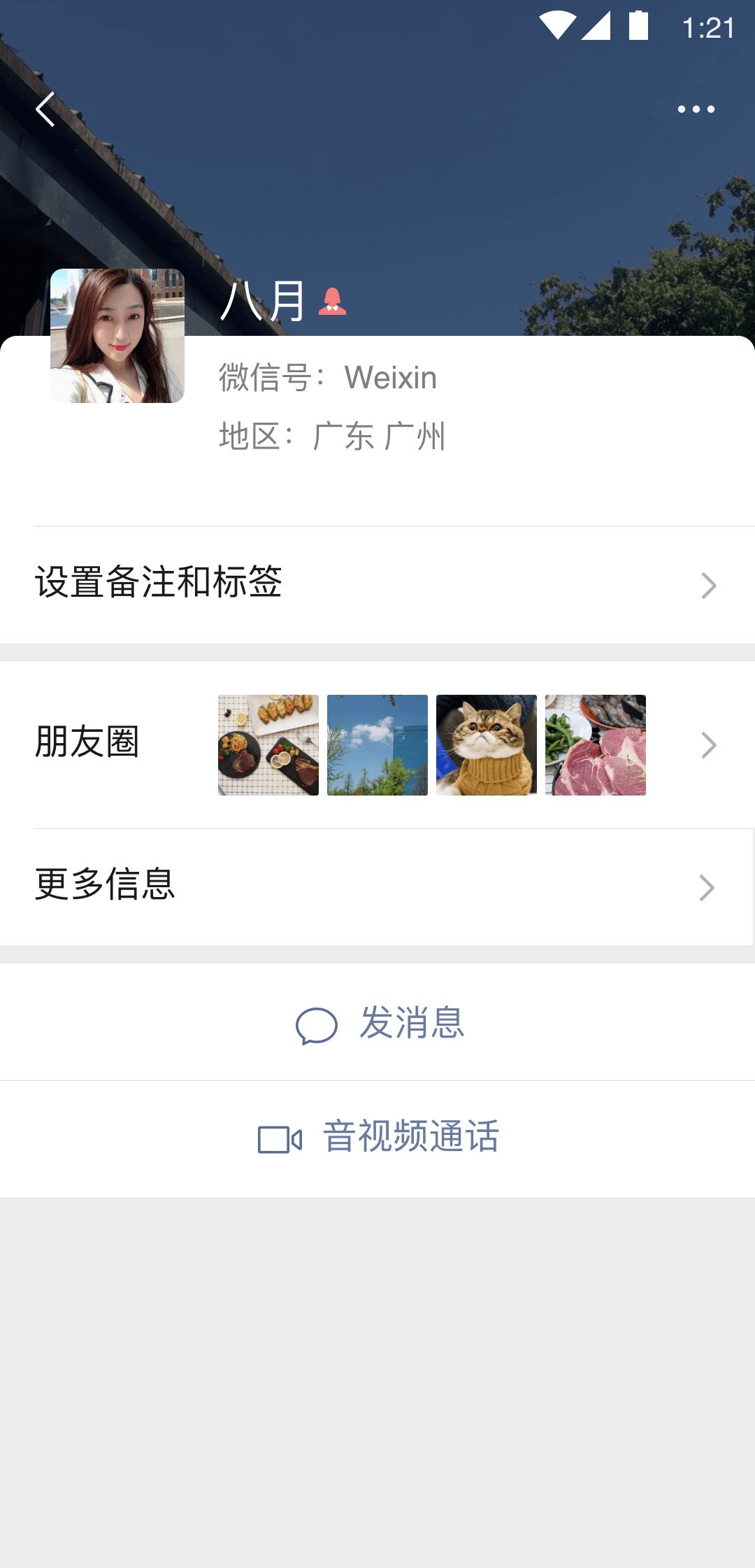 黑蝙蝠中队的歌词截图